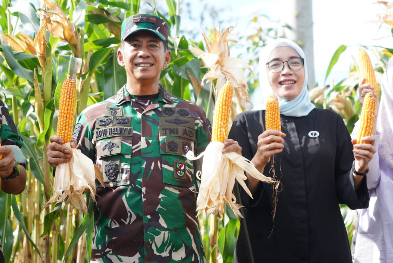 Pangdam Mayjen TNI Novi Helmy Prasetya didampingi Ketua Persit Kartika Chandra Kirana Daerah IM mengunjungi lahan Ketahanan Pangan Food Estate Korem 012/TU dalam rangka meninjau demplot program I’M Jagong, Rabu (2/8)