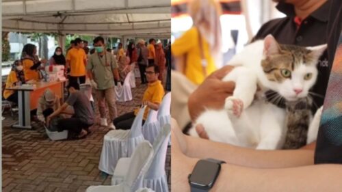Dinas Peternakan Aceh menggelar vaksinasi rabies gratis kepada hewan peliharaan masyarakat, Sabtu (7/10). Kegiatan ini digelar dalam rangka memperingati World Rabies Day (WRD) 2023