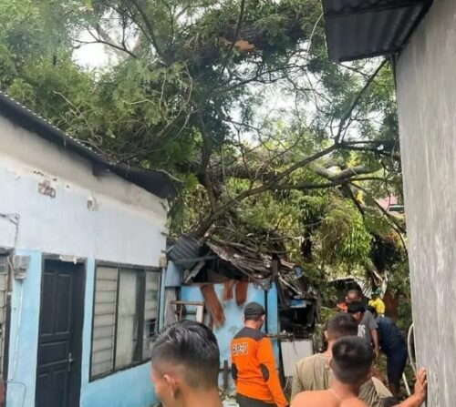 Hujan deras disertai angin kencang dan petir yang melanda Kota Sabang, Jum’at (20/10), mengakibatkan 8 rumah warga Gampong Kuta Barat dan satu rumah di Gampong Krueng Raya Kecamatan Sukakarya, rusak tertimpa pohon