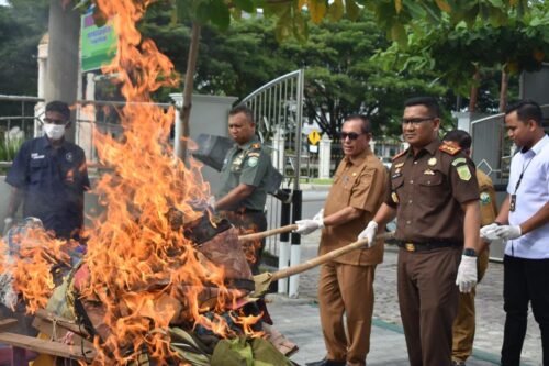 Kajari Bireuen Munawal Hadi SH MH memimpin pemusnahan barang bukti perkara tindak pidana yang telah berkekuatan hukum tetap di antaranya sabu-sabu dan ganja di Kantor Kejari Bireuen, Selasa (3/10)