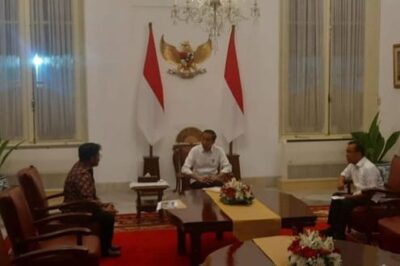 Mantan Menteri Pertanian Syahrul Yasin Limpo menghadap Presiden Joko Widodo didampingi Mensesneg Pratikno, di Istana Negara, Ahad malam (8/10)
