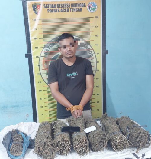 Satresnarkoba Polres Aceh Tengah membekuk IS (37) tersangka pengedar narkotika jenis ganja
