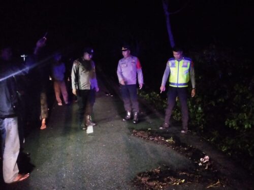 Kecelakaan lalulintas yang terjadi di Bener Meriah menelan dua korban jiwa, Kamis malam (30/11). (Foto: Dok. Satlantas Polres Bener Meriah)