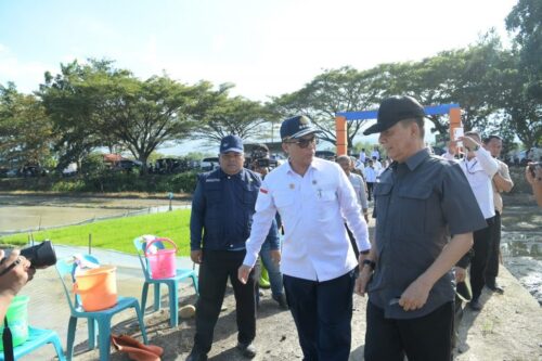 Wakil Menteri Pertanian Harvick Hasnul Qolbi didampingi Pj Gubernur Aceh Achmad Marzuki, melakukan penanaman padi perdana Musim Tanam 1, pada Gerakan Percepatan Tanam Padi, di kawasan Blang Jaroe Gampong Lam Ilie Masjid, Kecamatan Indrapuri, Aceh Besar, Jum’at sore (23/12)