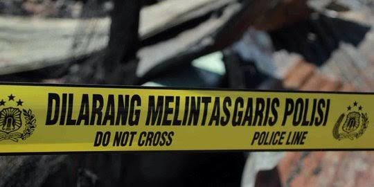 Ilustrasi mobil alami kecelakaan tabrak sapi di jalan tol