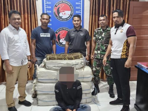 Anggota TNI Kodim 0104/Atim berhasil menggagalkan penyelundupan 75 Kg ganja kering siap edar di Peunaron. (Foto: Dok. Pendim 0104/Atim)
