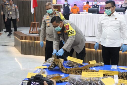 Kapolda Aceh Irjen Achmad Kartiko didampingi Wakapolda Brigjen Armia Fahmi dan Dirreskrimsus Kombes Winardy memperlihatkan barang bukti pengungkapan penjualan kulit harimau, pada konferensi pers di Mapolda Aceh, Senin (22/1). (Foto: Dok. Humas Polda Aceh)
