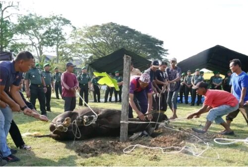 Pangdam IM Mayjen TNI Niko Fahrizal menyerahkan sapi Meugang dalam rangka menyambut datangnya bulan suci Ramadhan 1445 Hijriah, di Makodam IM, Senin (11/3)