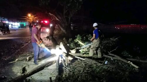 Akibat dahan pohon trembesi tumbang setelah kena bak truk barang sehingga membentang di atas badan, menyebabkan arus lalu lintas macet total di jalan Nasional Banda Aceh-Medan kawasan Lambaro, Kecamatan Ingin Jaya, Aceh Besar, Sabtu malam (16/3)