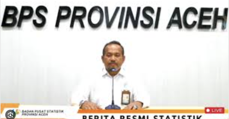 Pejabat Fungsional Ahli Madya BPS Aceh, Oriza Santifa pada konferensi pers, Selasa (8/4). FOTO/Tangkapan Layar.
