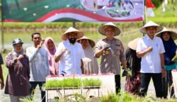 Gubernur Aceh Muzakir Manaf, menghadiri gerakan tanam padi serentak 14 Provinsi bersama Presiden Prabowo Subianto secara daring, di Gampong Lampasie Engking, Darul Imarah, Aceh Besar, Rabu (23/4). (Foto: For Infoaceh.net)