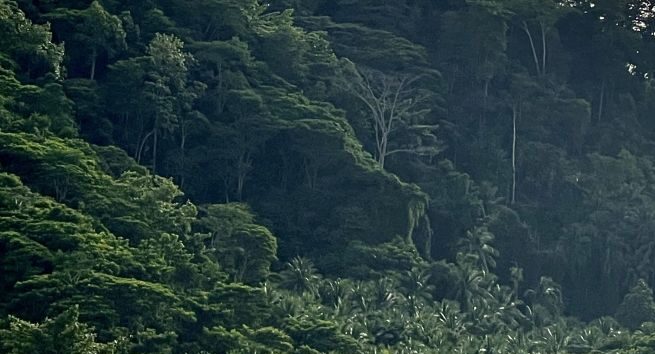 Raja Ampat Dirusak Perlahan