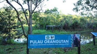 PT Pertamina (Persero) melalui anak usahanya PT Pertamina Hulu Sanga Sanga (PHSS) tak hanya fokus pada sektor migas. Perusahaan pelat merah ini juga aktif memelihara satwa dilindungi dan menjaga kelestarian lingkungan melalui kerja sama dengan Borneo Orangutan Survival Foundation (BOSF).