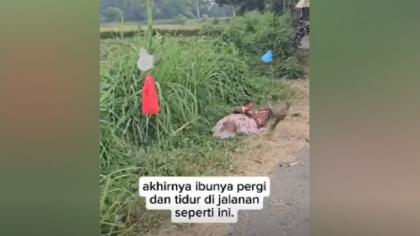 Warga mengevakuasi Nortaji (70), lansia terlantar di Probolinggo yang diduga dianiaya dan diusir oleh anak kandungnya, Musrika. (Foto: Tangkapan layar video viral)