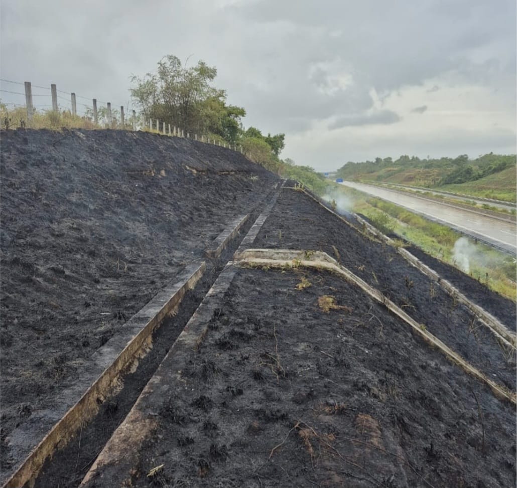 Kebakaran lahan di pinggir Jalan Tol Jantho–Seulimeum, tepatnya di kawasan Lamtamot, Aceh Besar Sabtu sore (2/8/2025). (Foto: BPBD Aceh Besar)
